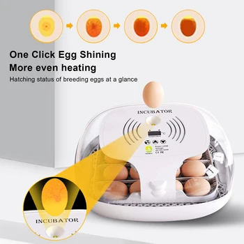 Inkubator na 16 Jaja, Mali Inteligentni Automatski Kontroler za inkubaciju jaja, Termostat za kućne Kokoš, Guska, Piletina, Prepelica